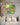 Abstracts