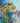Sunflowers in Expression 1