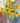 Vase of Sunshine 3